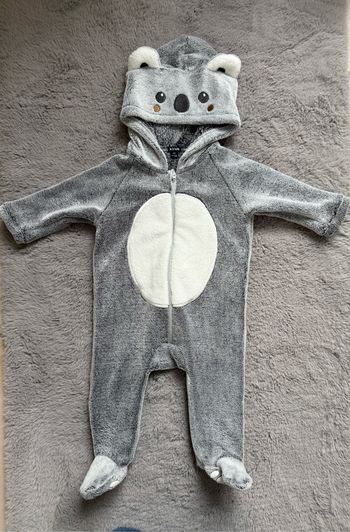 Combi koala