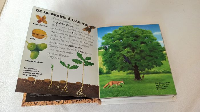 Livre Secrets de l'arbre - photo numéro 3