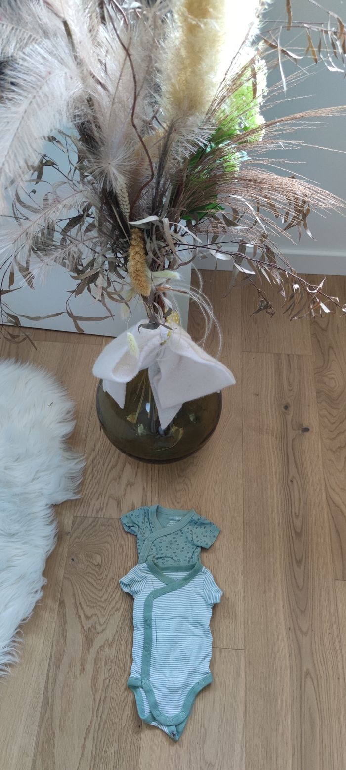 Body manches courtes, prématuré/naissance - photo numéro 2