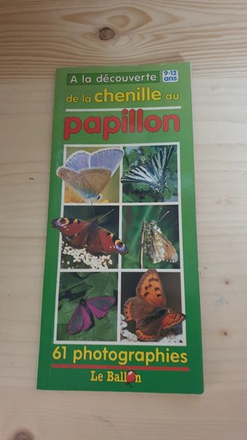 Livret A la découverte de la chenille au papillon