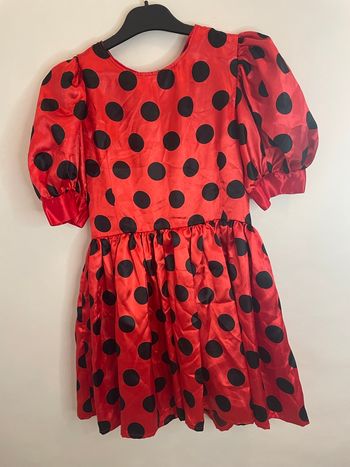 Deguisement flamenco 