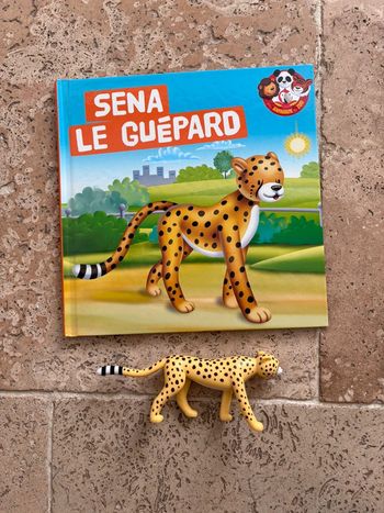 Livre et figurine