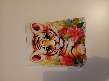 Protégé carnet de santé