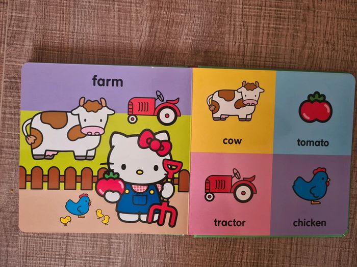 Lot de 2 Hello Kitty en anglais TBE - photo numéro 8