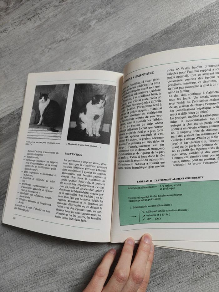 Dietetichat 🐱 - photo numéro 4