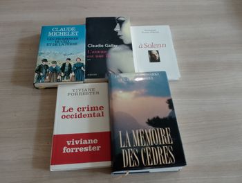Lot de  5 livres, romans,(13)(Claude Michelet ect.)