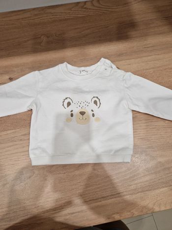 Pull mi saison mango