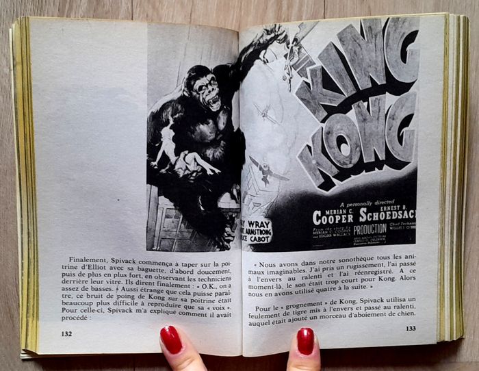 King Kong story - rene chateau - photo numéro 9