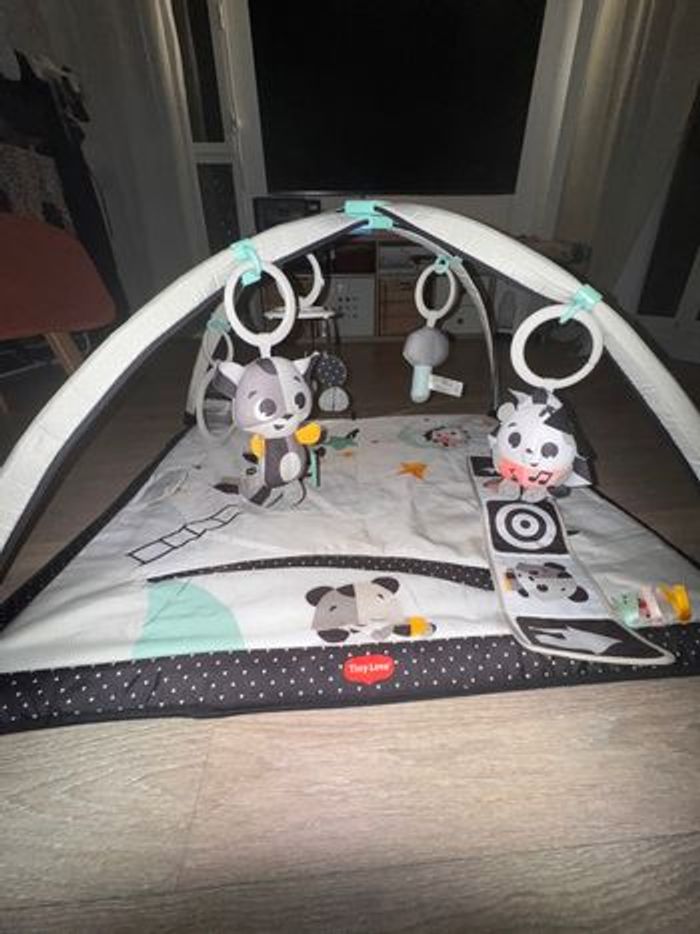 Tapis d’éveil Tiny Love - photo numéro 8