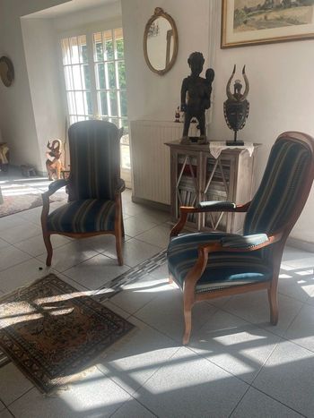Paire de fauteuil voltaire