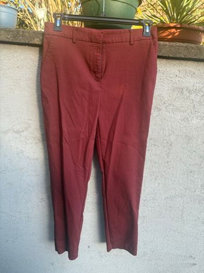 Chino bordeaux