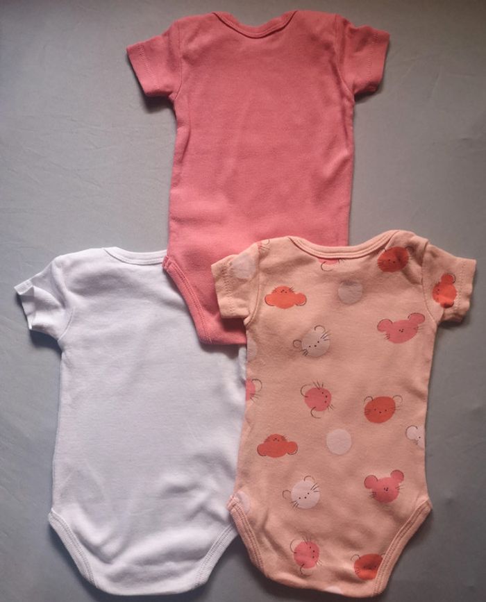 Lot de 3 bodies manches courtes La Redoute - photo numéro 2