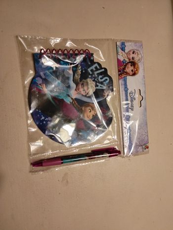 Set stylo et carnet reine des neiges