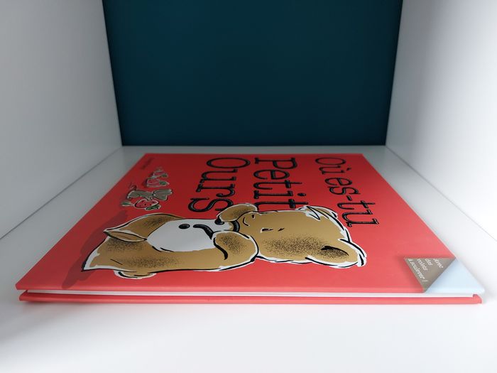 Livre jeunesse "Où es-tu Petit Ours" Greg Foley Circonflexe - photo numéro 6