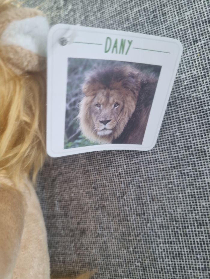 Peluche lion Dany de Pairi Daiza - photo numéro 2