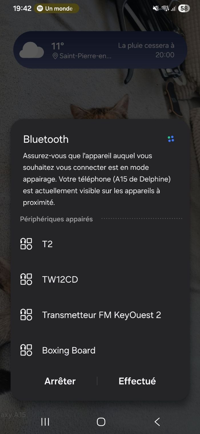 Écouteurs sans fil - photo numéro 10