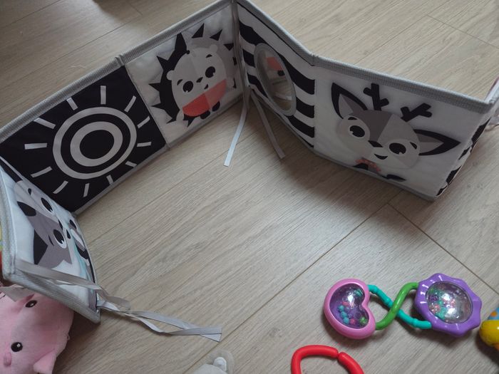 Lot jouets 1er age - photo numéro 9