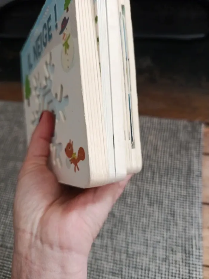 3 livres sur l'hiver - photo numéro 11