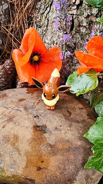 Super figurine Pokemon Nintendo Évoli