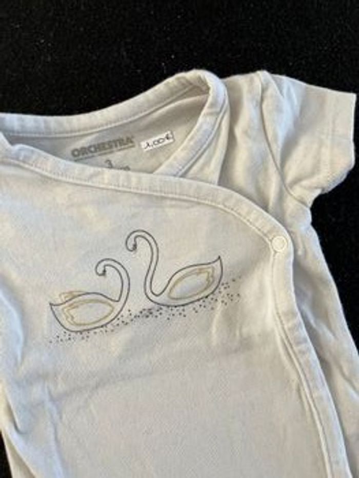 Bodie 3 mois - photo numéro 3