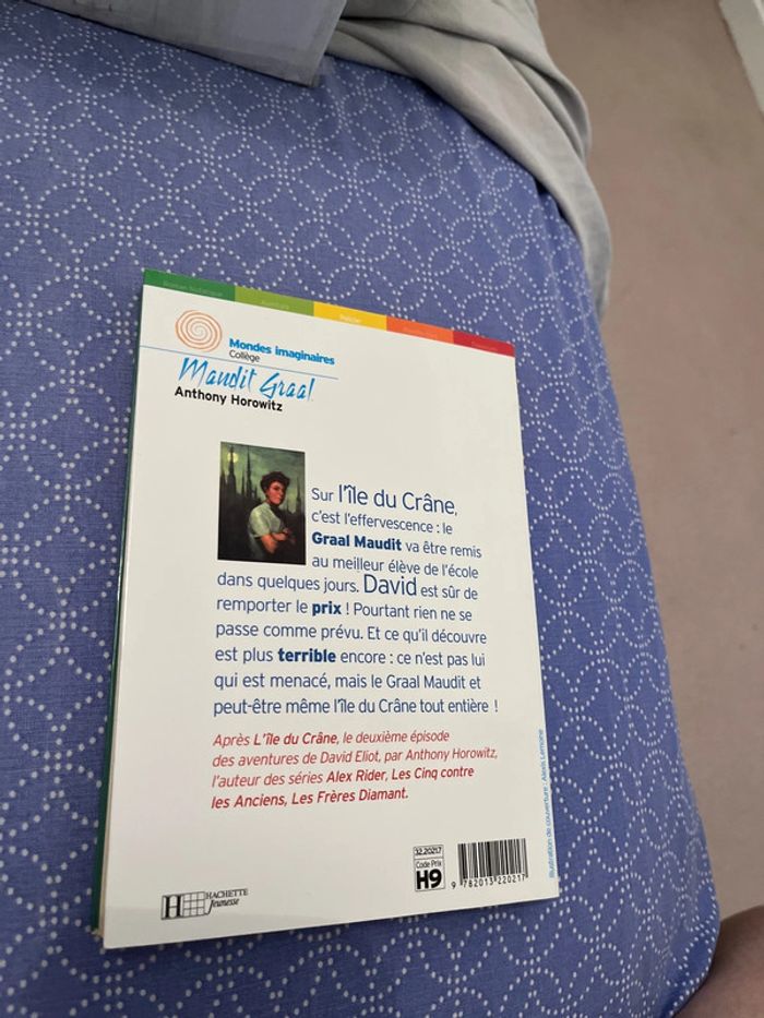 Livre le maudit graal - photo numéro 2