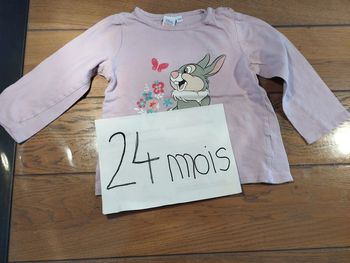 Lot n° 524 T-shirt manches longues "Panpan" Disney Baby 24 mois