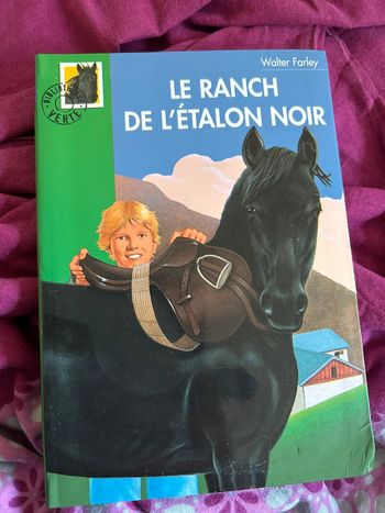Livre bibliothèque verte le ranch de l’étalon noir