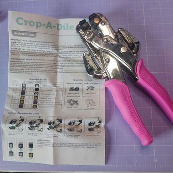 Perforatrice we r memory Keepers pince crop a dile rose avec boîte et oeillets