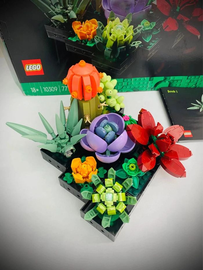 LEGO Icons 10309 - Les Succulents - Complet avec Boîte - photo numéro 3