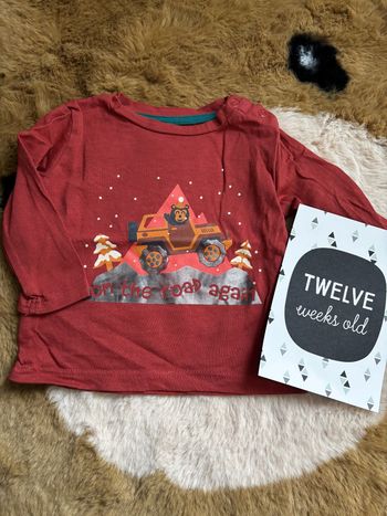 Tee shirt on the road ours IN Extenso t.3m