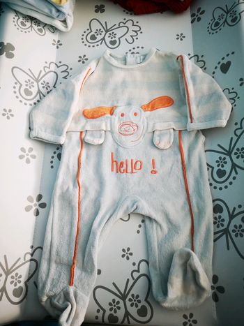 Dors bien velours theme chien