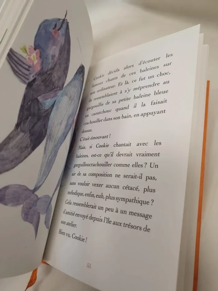 Les nouvelles aventures de Cookie - photo numéro 4