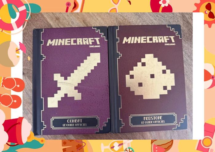 Lot deux livres minecraft