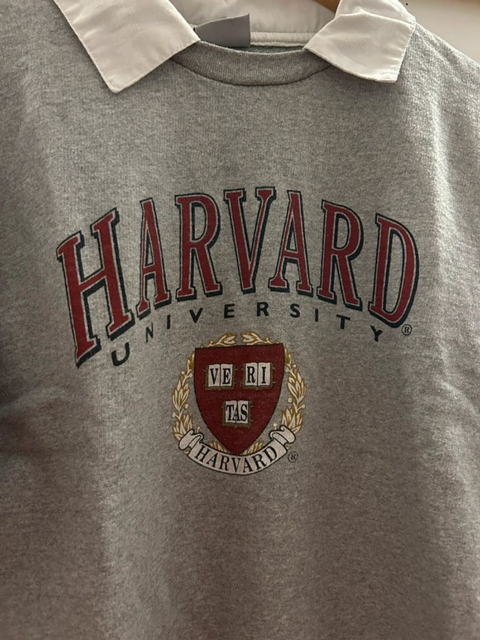 Sweat Harvard University - photo numéro 2