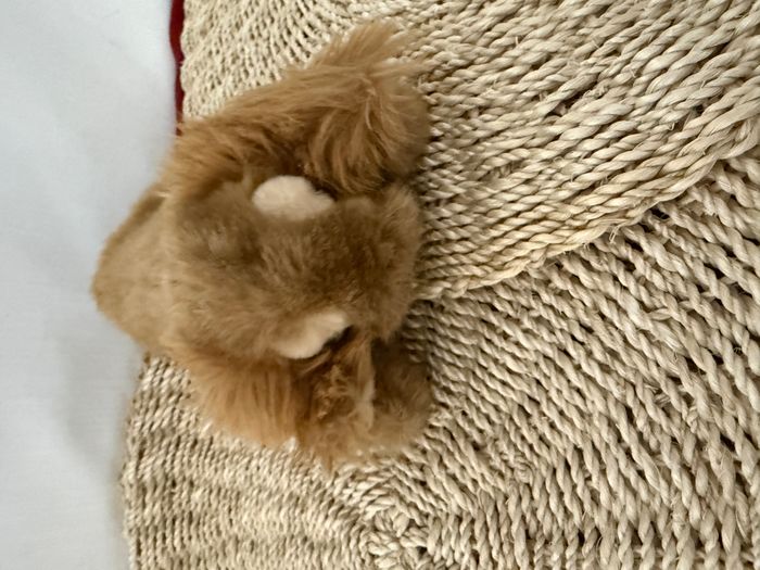 doudou vintage - photo numéro 5