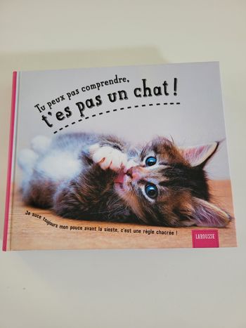📖 tu peux pas comprendre t'es pas un chat