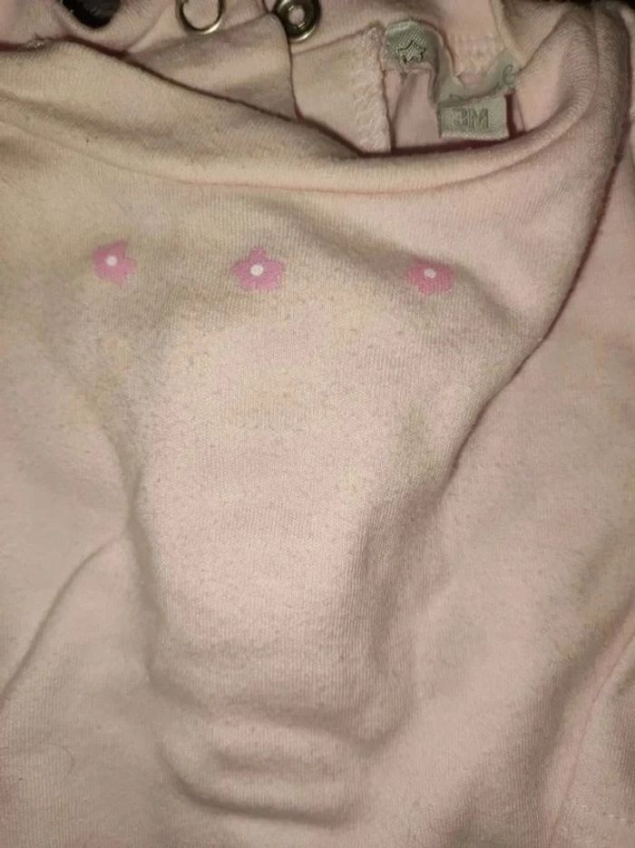 Bodie rose - photo numéro 2