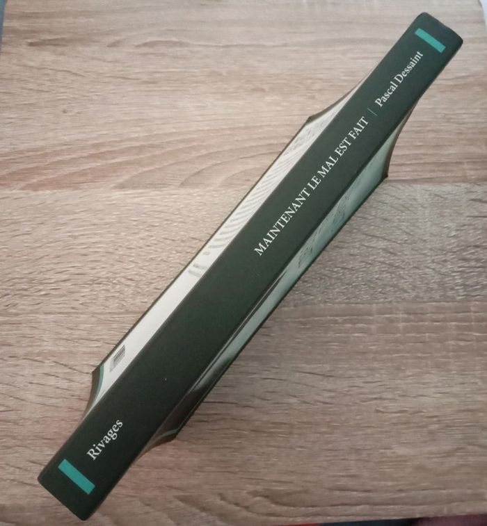 Pascal Dessaint 🪅 Maintenant le mal est fait - photo numéro 3