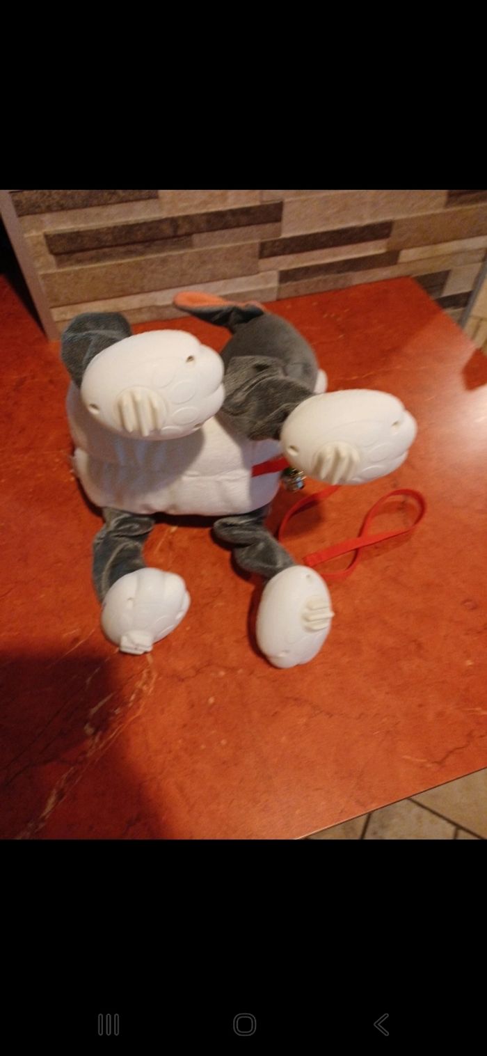 Chien bulldog gris toufous - photo numéro 6