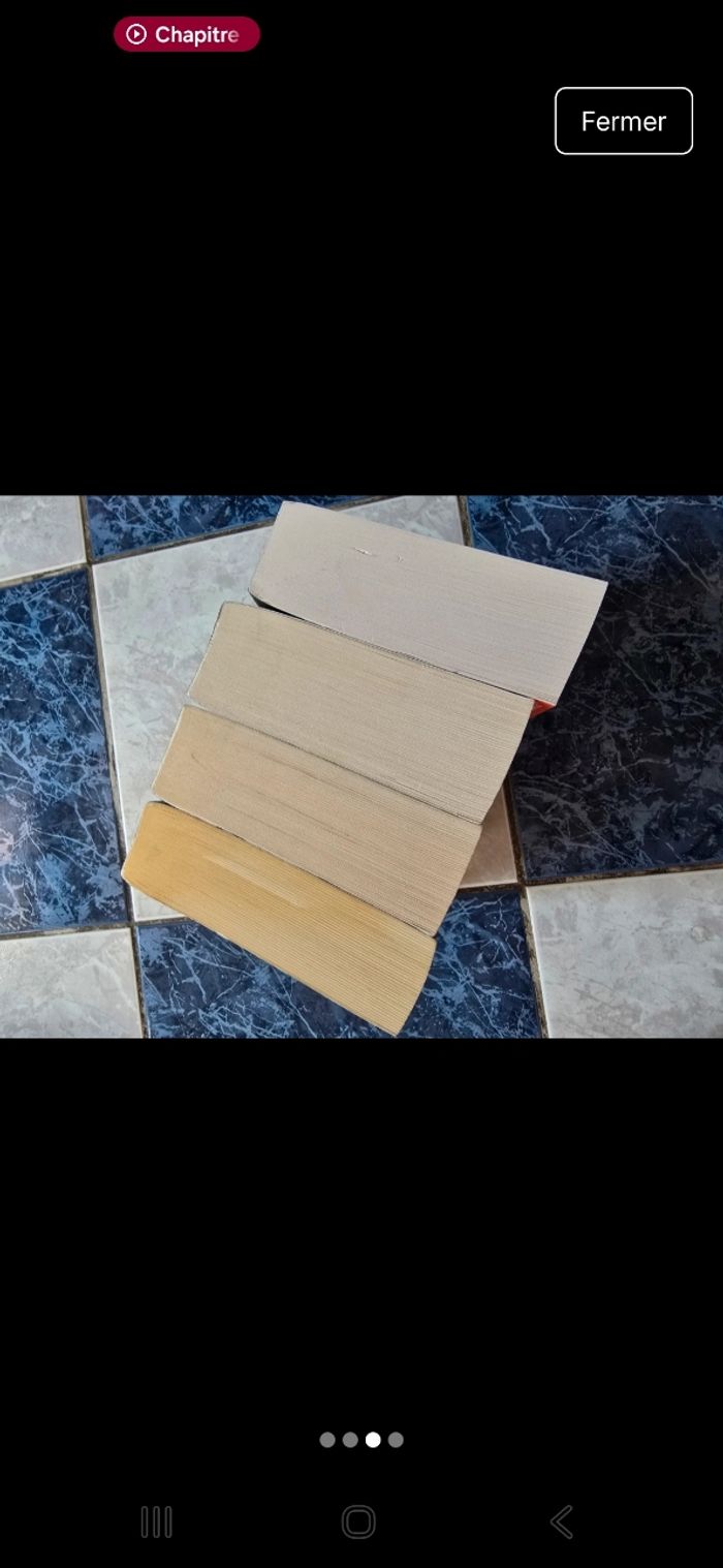 Lot complet des 4 tomes de la saga "Hadès et Persephone" - photo numéro 3