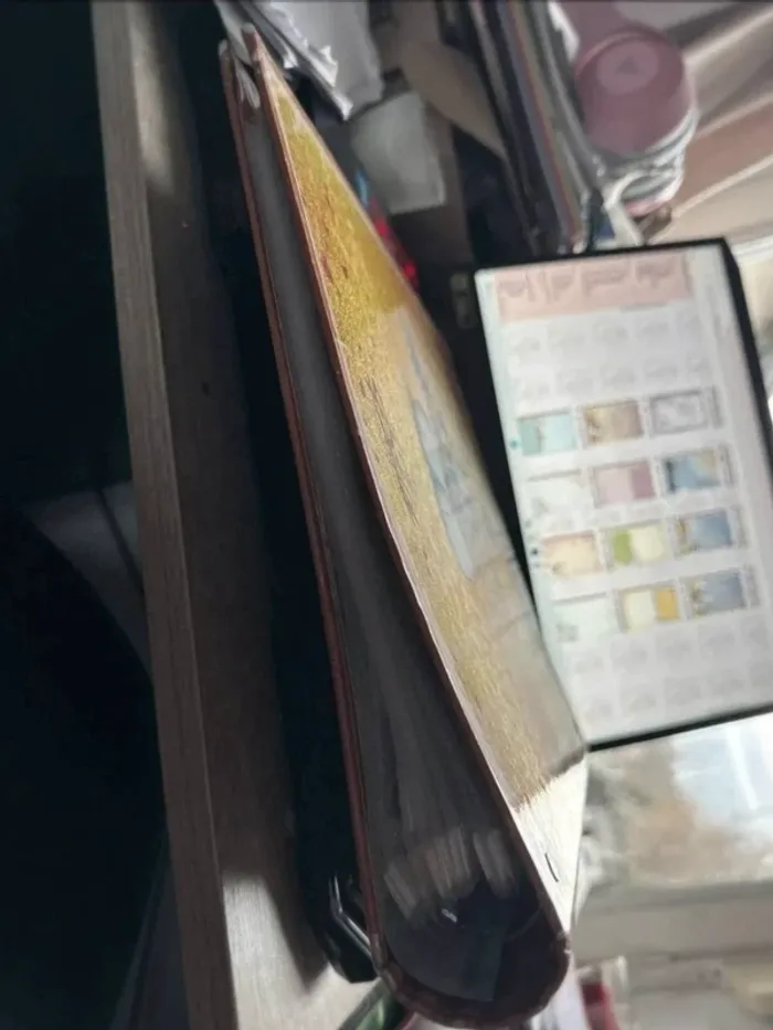 Classeur  diddl - photo numéro 3