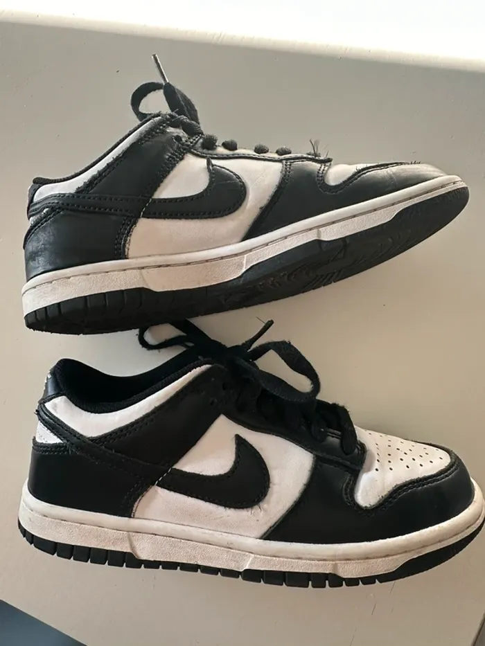 Paire de baskets Nike Dunk