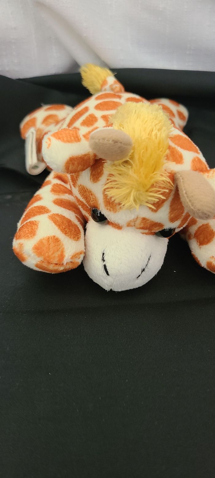 Nature planète girafe