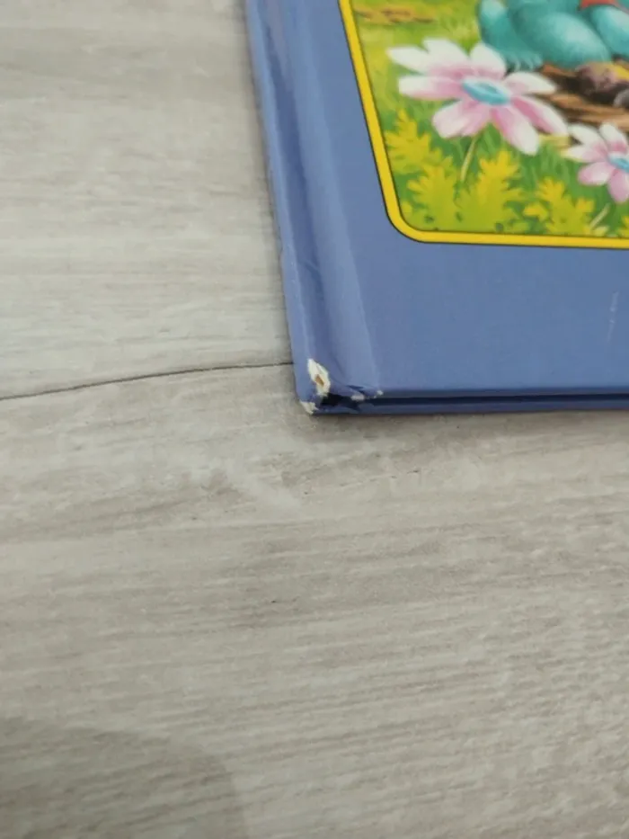 Le petit lapin bleu campe en montagne - photo numéro 4