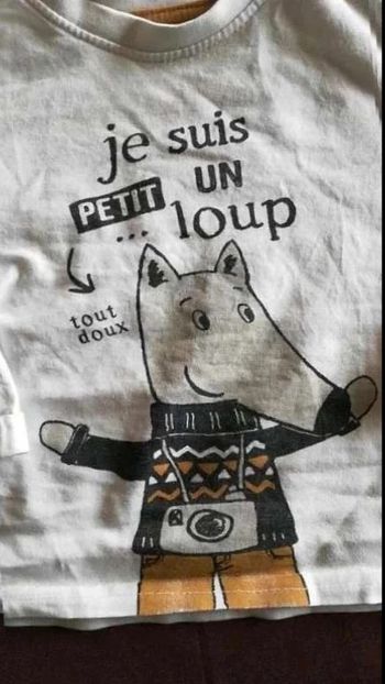 Tee  shirt p'tit loup