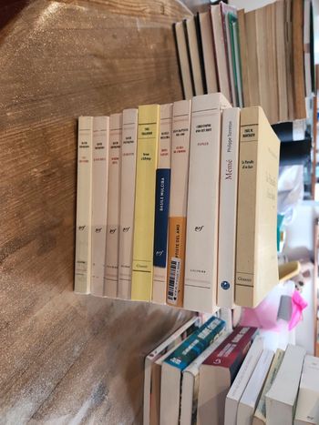 Lot de 10 livres : Gallimard nrf