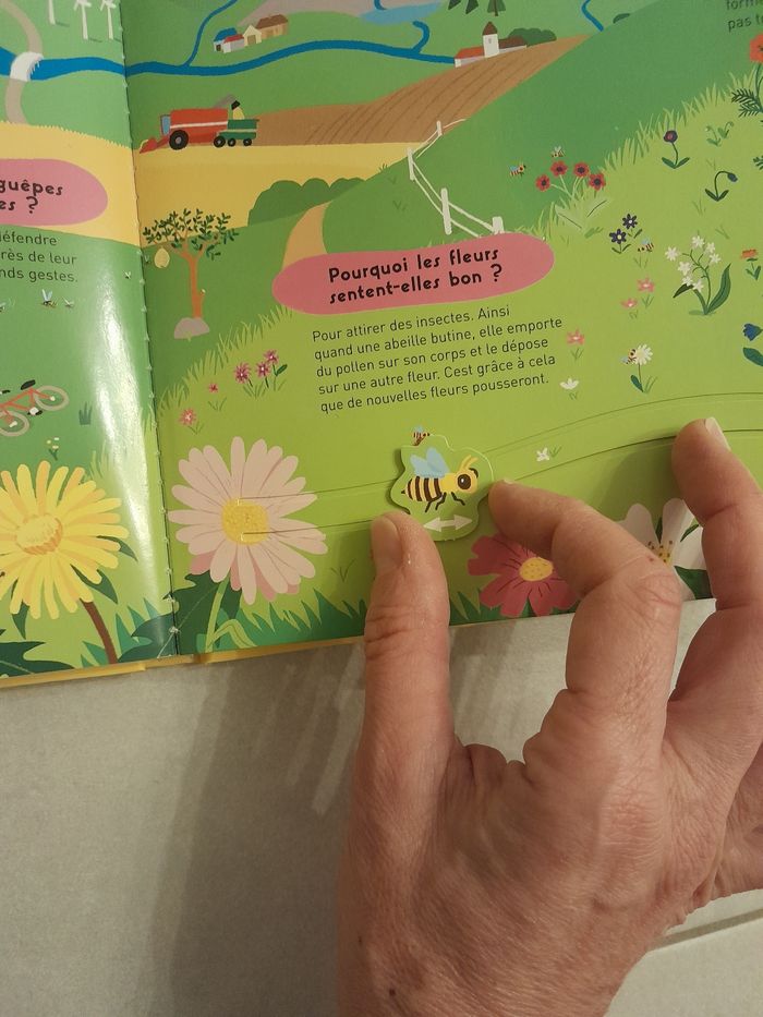 Kididoc des pourquoi - photo numéro 7