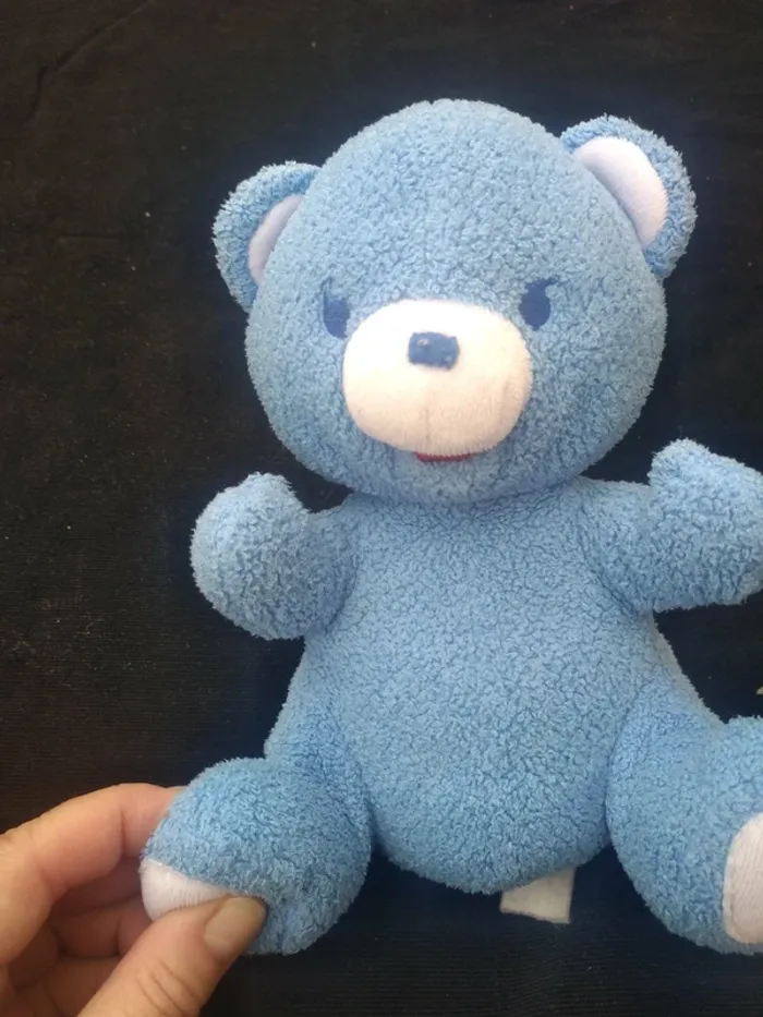 Petit ourson bleu - photo numéro 2