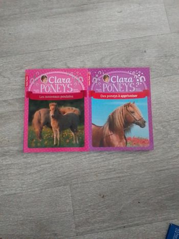Lot Clara et les poneys