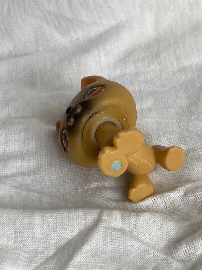 lps berger allemand - photo numéro 7